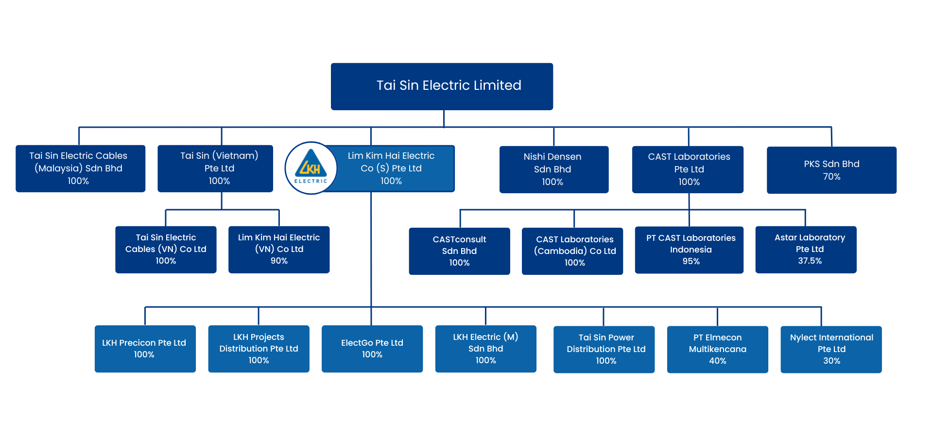 Tai Sin Group Corporate Structure